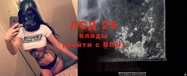 стаф Инсар