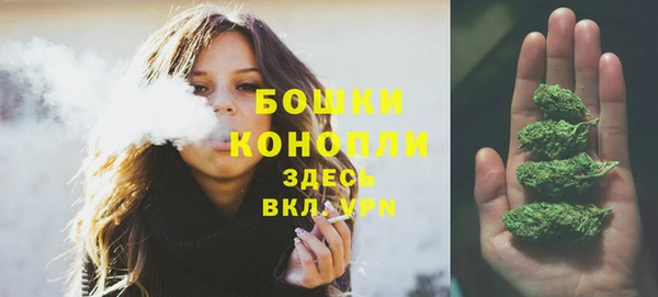 гидропоника Инта