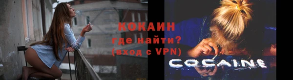 стаф Инсар