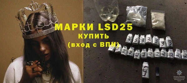 стаф Инсар