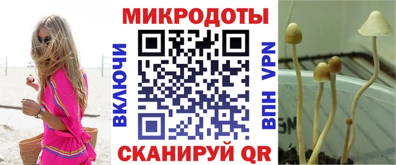 Купить закладки  Долинск  Псилоцибиновые грибы MAGIC MUSHROOMS 